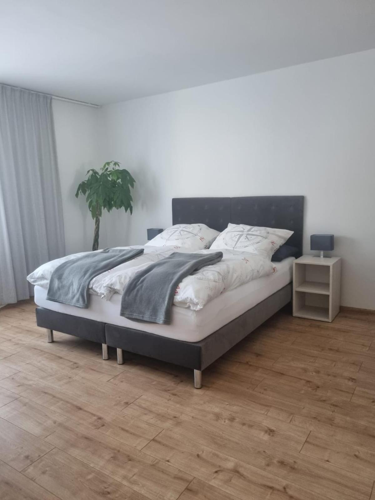 Gaestehaus Windrose Фихтельберг Экстерьер фото